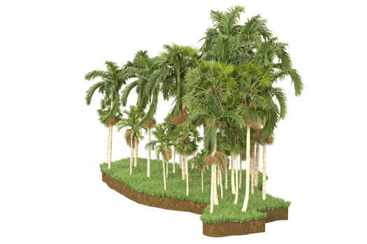 Realistic forest isolated on transparent background. 3d rendering - illustration png