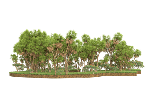 Realistic forest isolated on transparent background. 3d rendering - illustration png