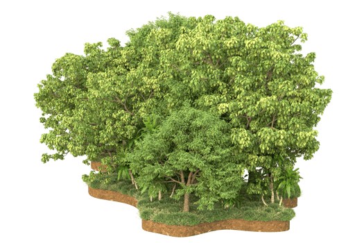 Realistic forest isolated on transparent background. 3d rendering - illustration png