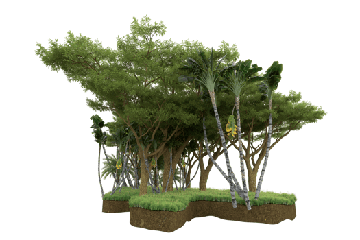 Realistic forest isolated on transparent background. 3d rendering - illustration png