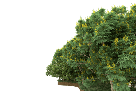 Realistic forest isolated on transparent background. 3d rendering - illustration png