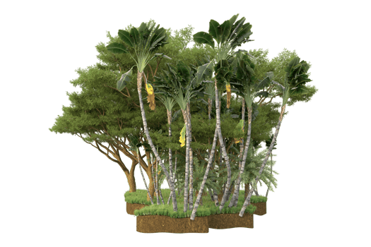 Realistic forest isolated on transparent background. 3d rendering - illustration png