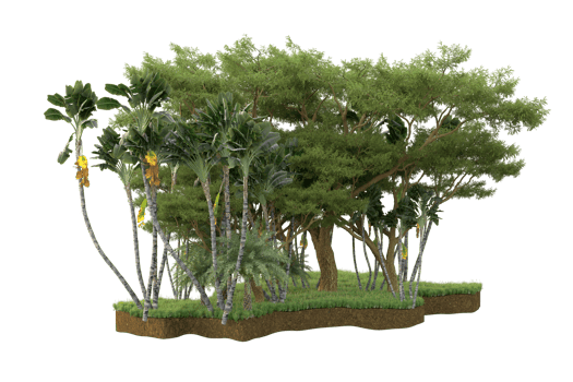 Realistic forest isolated on transparent background. 3d rendering - illustration png