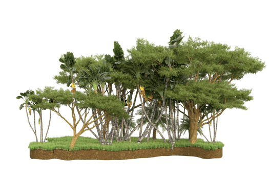 Realistic forest isolated on transparent background. 3d rendering - illustration png