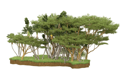 Realistic forest isolated on transparent background. 3d rendering - illustration png