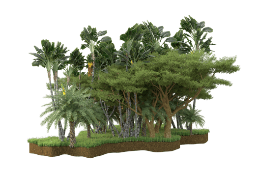 Realistic forest isolated on transparent background. 3d rendering - illustration png