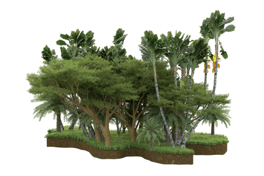 Realistic forest isolated on transparent background. 3d rendering - illustration png