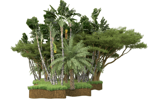 Realistic forest isolated on transparent background. 3d rendering - illustration png