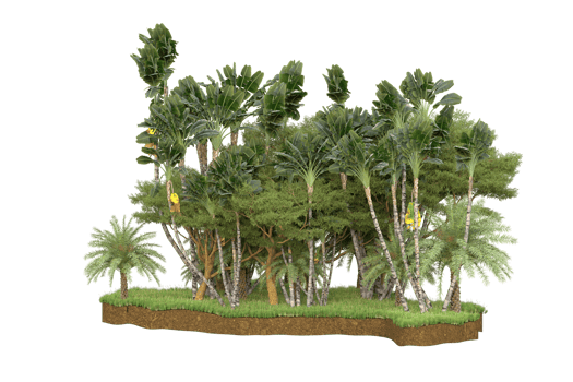 Realistic forest isolated on transparent background. 3d rendering - illustration png