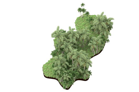 Realistic forest isolated on transparent background. 3d rendering - illustration png