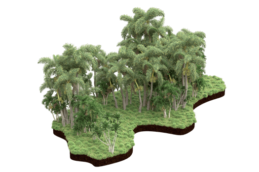 Realistic forest isolated on transparent background. 3d rendering - illustration png