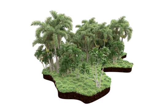 Realistic forest isolated on transparent background. 3d rendering - illustration png