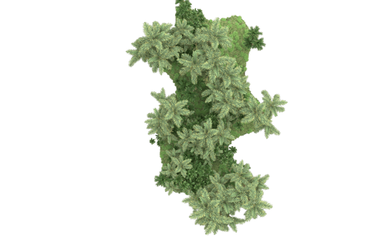 Realistic forest isolated on transparent background. 3d rendering - illustration png