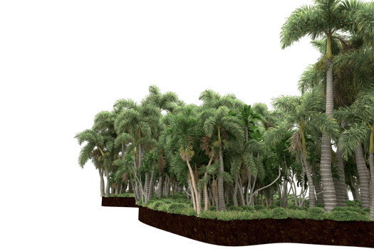 Realistic forest isolated on transparent background. 3d rendering - illustration png