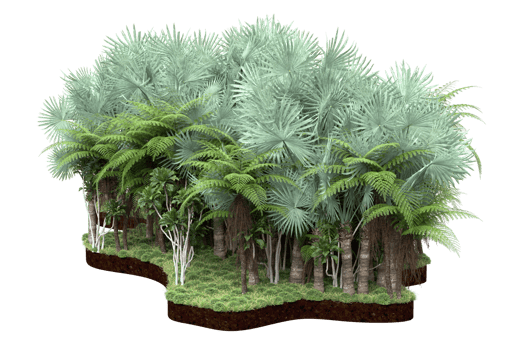 Realistic forest isolated on transparent background. 3d rendering - illustration png