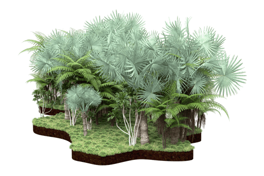 Realistic forest isolated on transparent background. 3d rendering - illustration png
