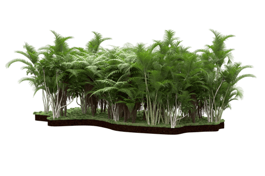 Realistic forest isolated on transparent background. 3d rendering - illustration png