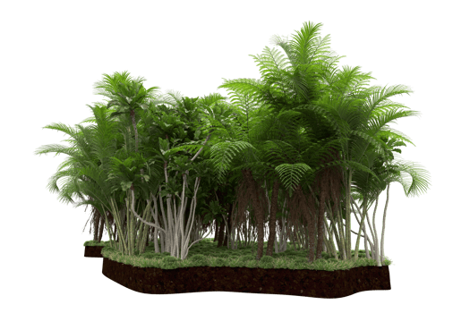 Realistic forest isolated on transparent background. 3d rendering - illustration png