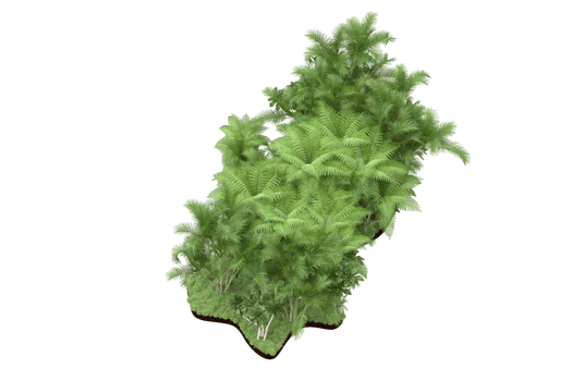 Realistic forest isolated on transparent background. 3d rendering - illustration png