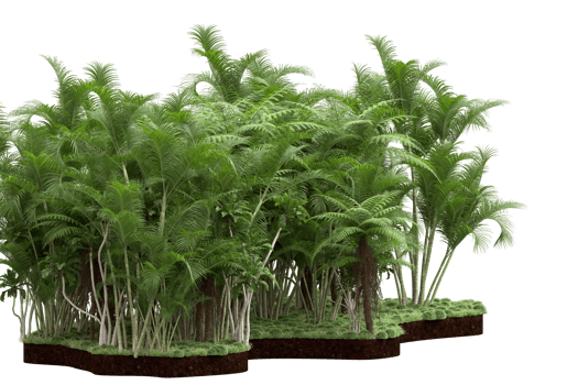 Realistic forest isolated on transparent background. 3d rendering - illustration png