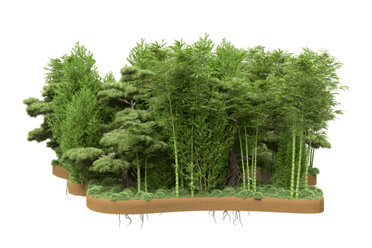 Realistic forest isolated on transparent background. 3d rendering - illustration png
