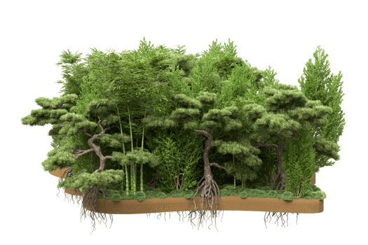 Realistic forest isolated on transparent background. 3d rendering - illustration png