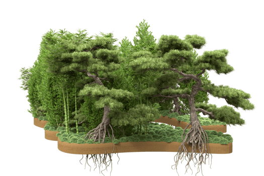 Realistic forest isolated on transparent background. 3d rendering - illustration png