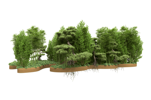 Realistic forest isolated on transparent background. 3d rendering - illustration png