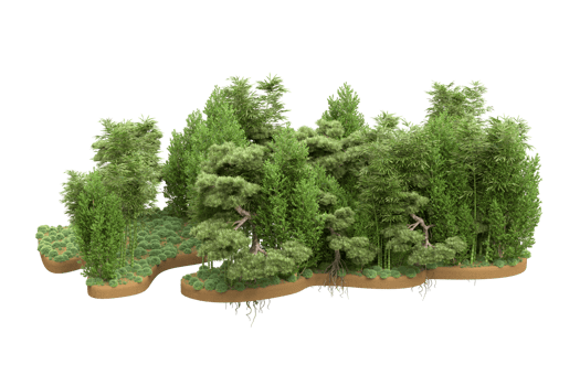 Realistic forest isolated on transparent background. 3d rendering - illustration png