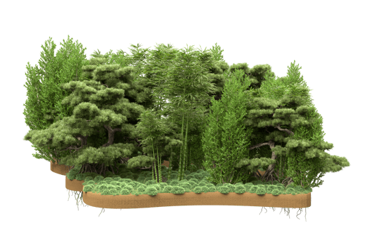 Realistic forest isolated on transparent background. 3d rendering - illustration png