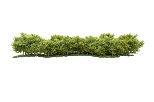 Realistic forest isolated on transparent background. 3d rendering - illustration png