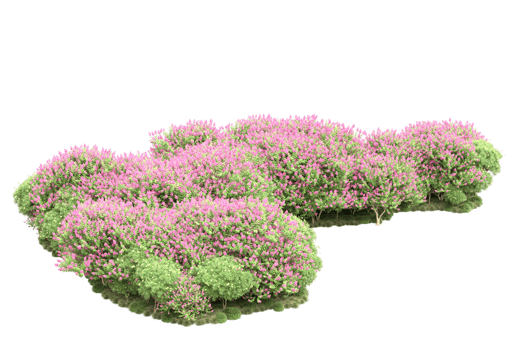 Realistic forest isolated on transparent background. 3d rendering - illustration png