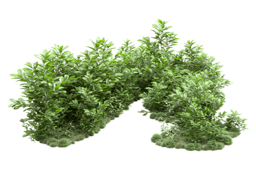 Realistic forest isolated on transparent background. 3d rendering - illustration png