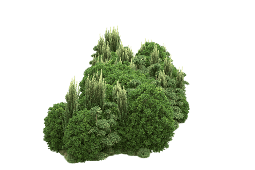 Realistic forest isolated on transparent background. 3d rendering - illustration png