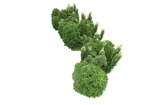 Realistic forest isolated on transparent background. 3d rendering - illustration png