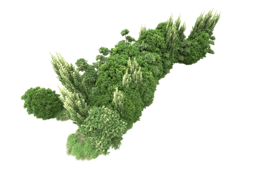 Realistic forest isolated on transparent background. 3d rendering - illustration png