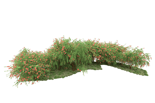 Realistic forest isolated on transparent background. 3d rendering - illustration png