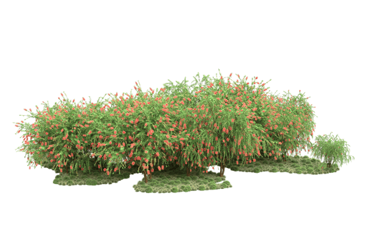Realistic forest isolated on transparent background. 3d rendering - illustration png