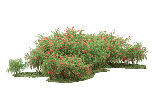 Realistic forest isolated on transparent background. 3d rendering - illustration png
