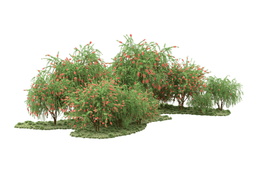 Realistic forest isolated on transparent background. 3d rendering - illustration png