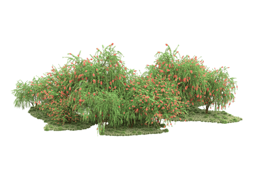 Realistic forest isolated on transparent background. 3d rendering - illustration png