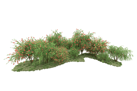 Realistic forest isolated on transparent background. 3d rendering - illustration png