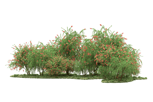 Realistic forest isolated on transparent background. 3d rendering - illustration png