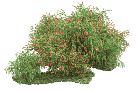 Realistic forest isolated on transparent background. 3d rendering - illustration png