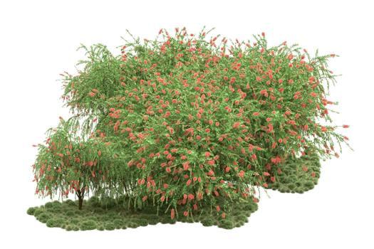 Realistic forest isolated on transparent background. 3d rendering - illustration png