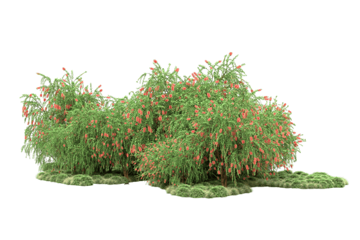Realistic forest isolated on transparent background. 3d rendering - illustration png