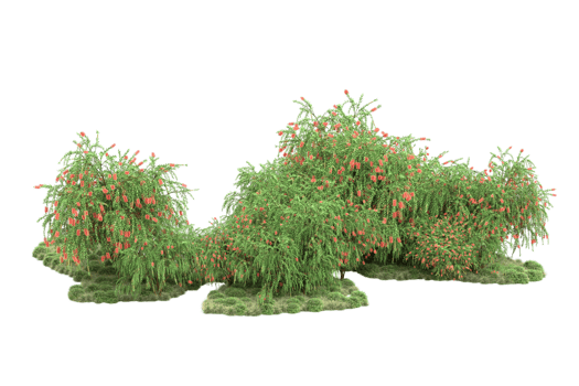 Realistic forest isolated on transparent background. 3d rendering - illustration png