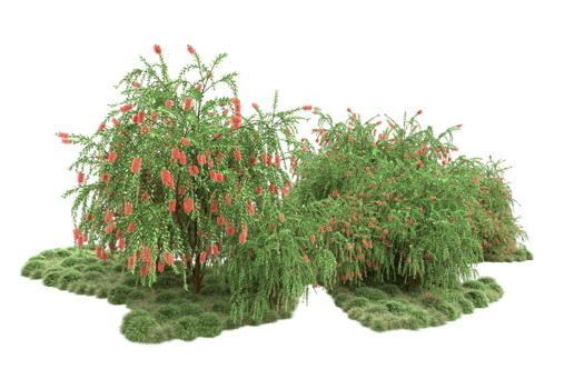 Realistic forest isolated on transparent background. 3d rendering - illustration png