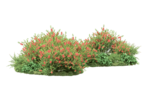 Realistic forest isolated on transparent background. 3d rendering - illustration png