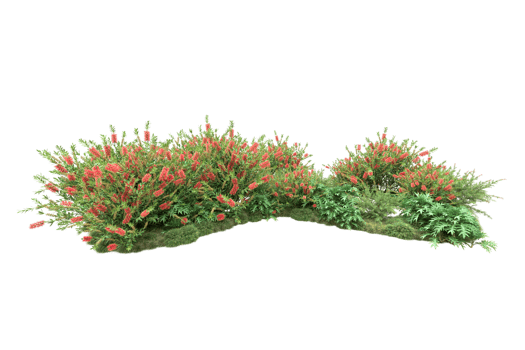 Realistic forest isolated on transparent background. 3d rendering - illustration png